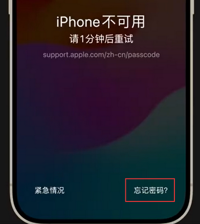 裕安苹果手机密码维修分享iPhone忘记了刚设置的密码 