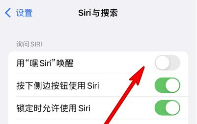 裕安苹果13维修分享iPhone 13怎么唤醒 Siri  