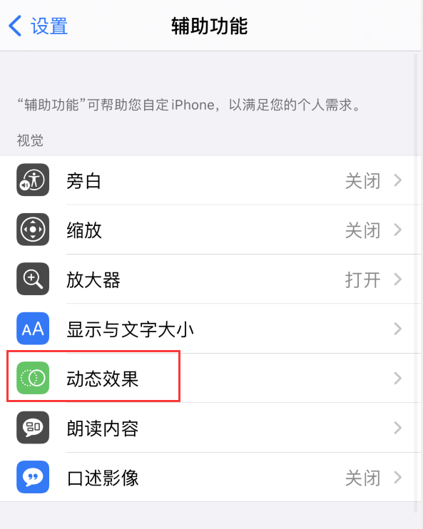 裕安苹果手机维修分享iPhone 12 退出应用时没有动画显示，如何设置 