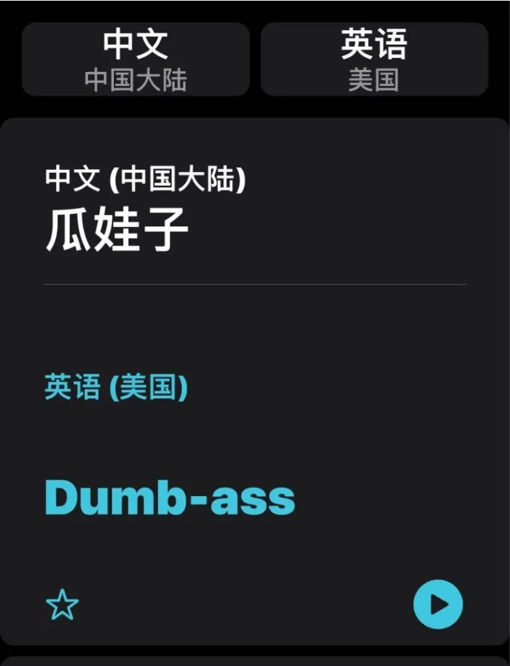 裕安苹果手机维修分享iOS14的“翻译太懂了”怎么用 